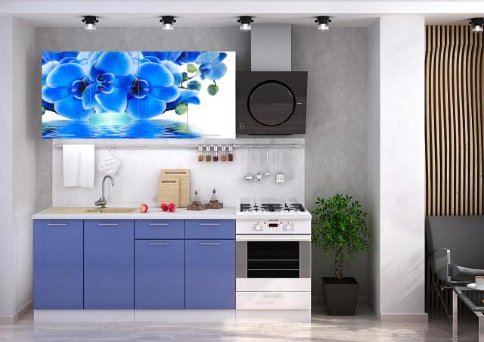 Кухня с фотопечатью «Голубая орхидея» - Кухня с фотопечатью «Голубая орхидея»